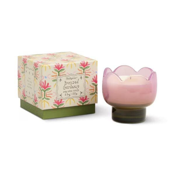 Tulip glass Candles Bronzed gardenia LittleLintons