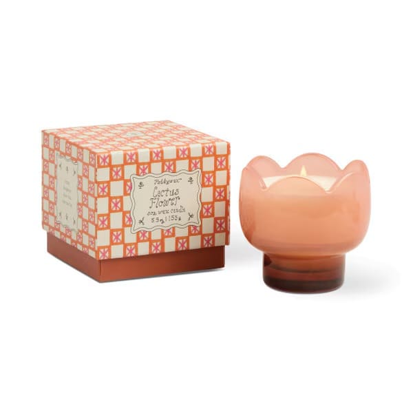 Tulip glass Candles Cactus flower LittleLintons