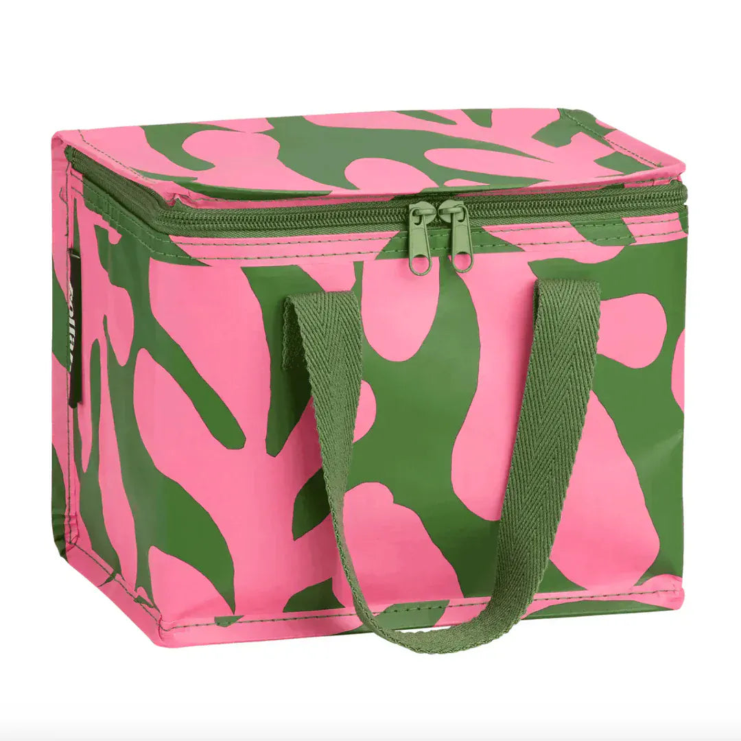 Kollab lunch box Canopy Kollab