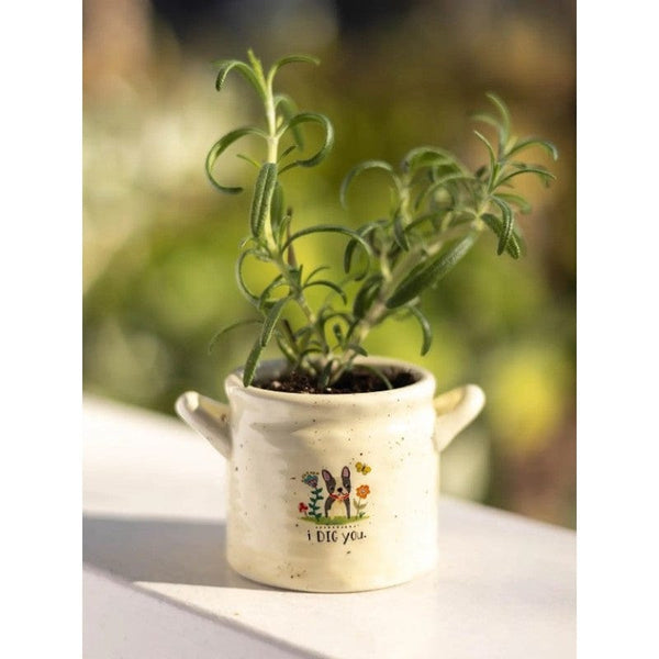 Crock planter Dig LittleLintons