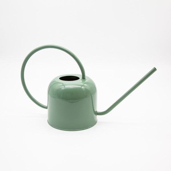 Watering can garden Eucalyptus LittleLintons