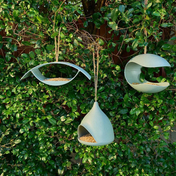 Bird feeder garden LittleLintons