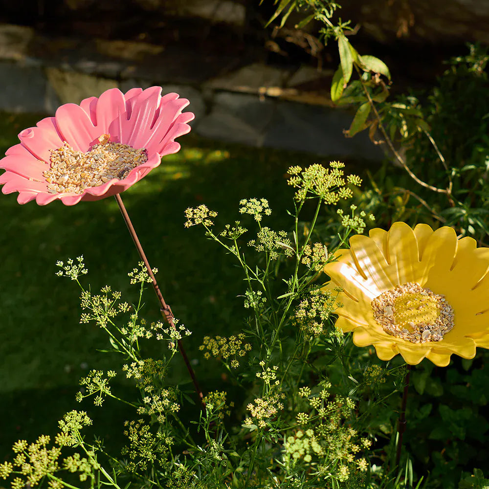 Flower bird bath garden LittleLintons