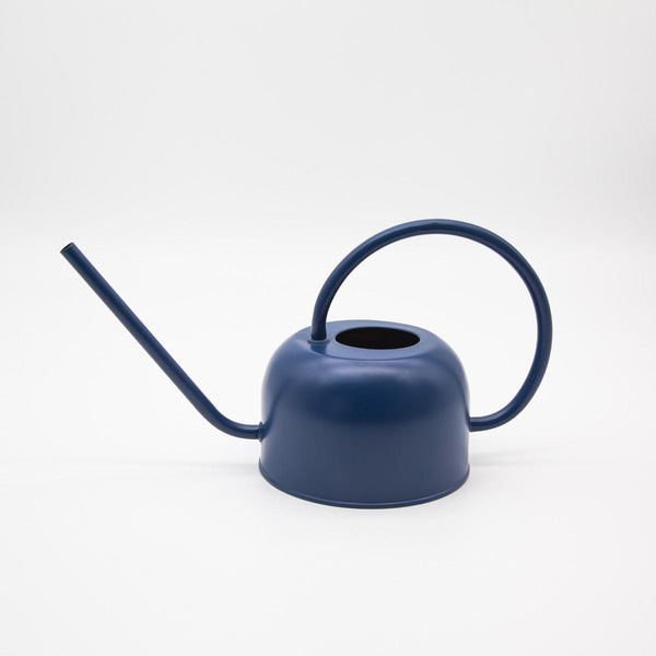 Indoor watering can garden LittleLintons
