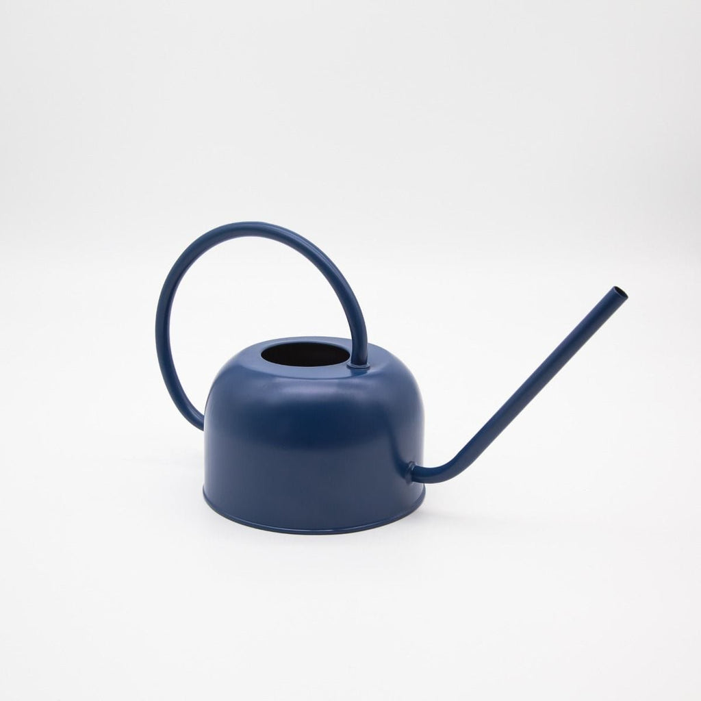 Indoor watering can garden Navy LittleLintons