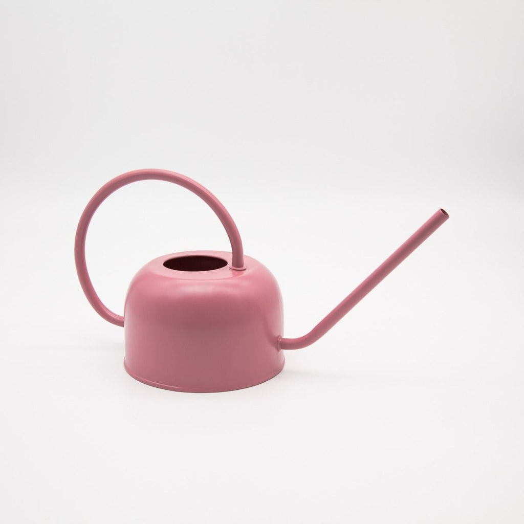 Indoor watering can garden Pink LittleLintons