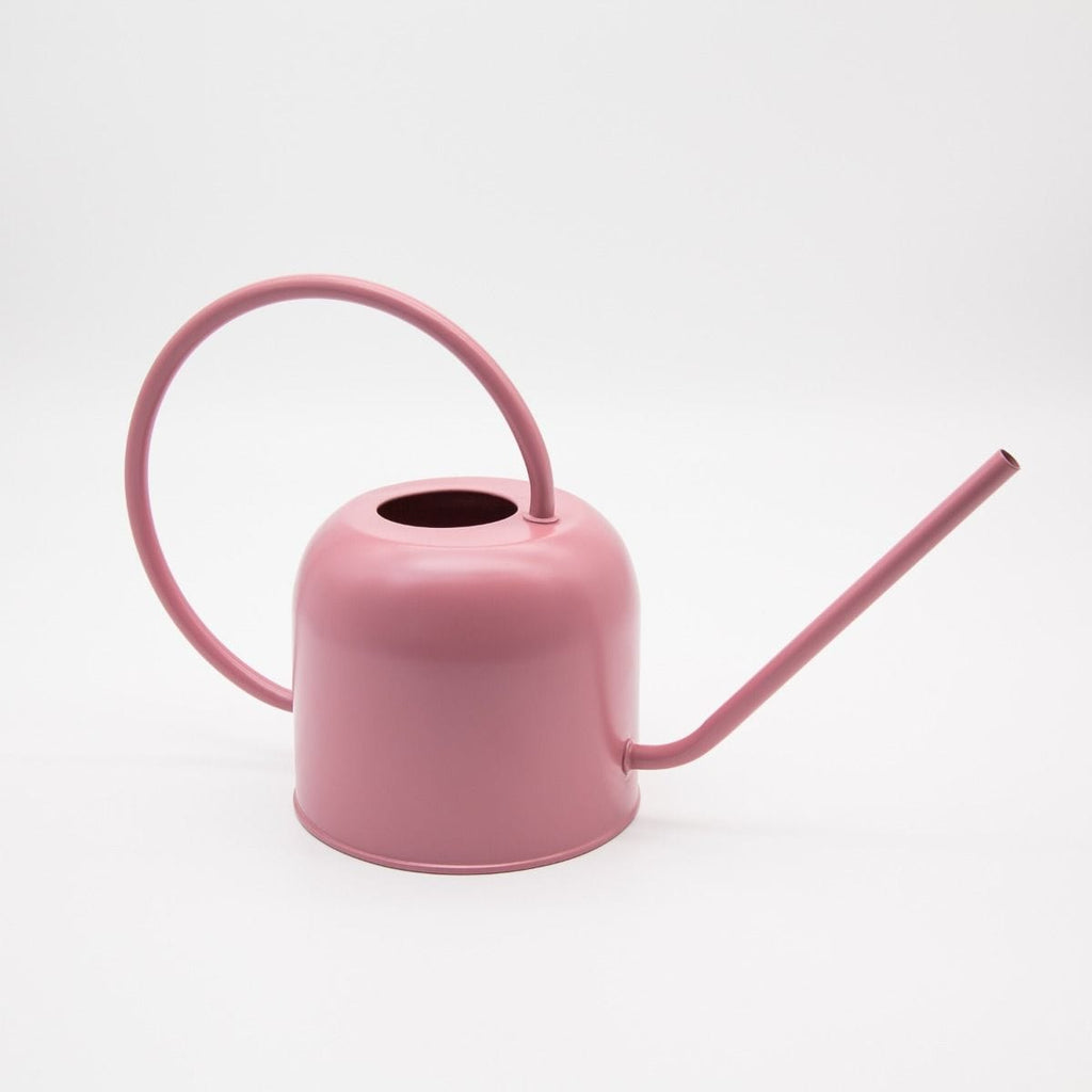 Watering can garden Pink LittleLintons
