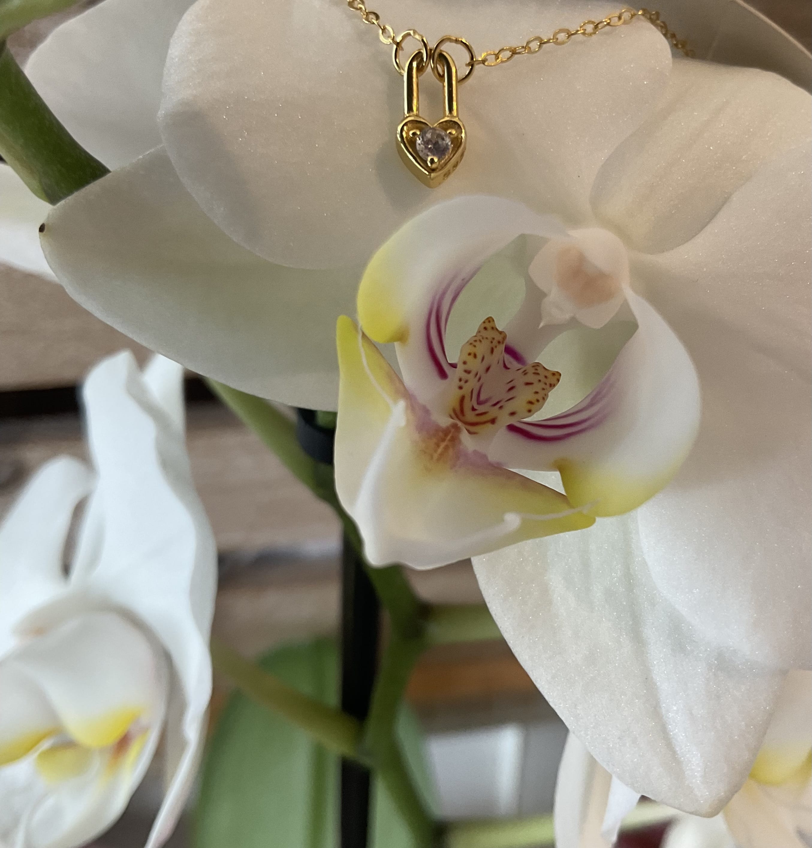 ‘Heart locked in’ necklace Gold Innerbloom