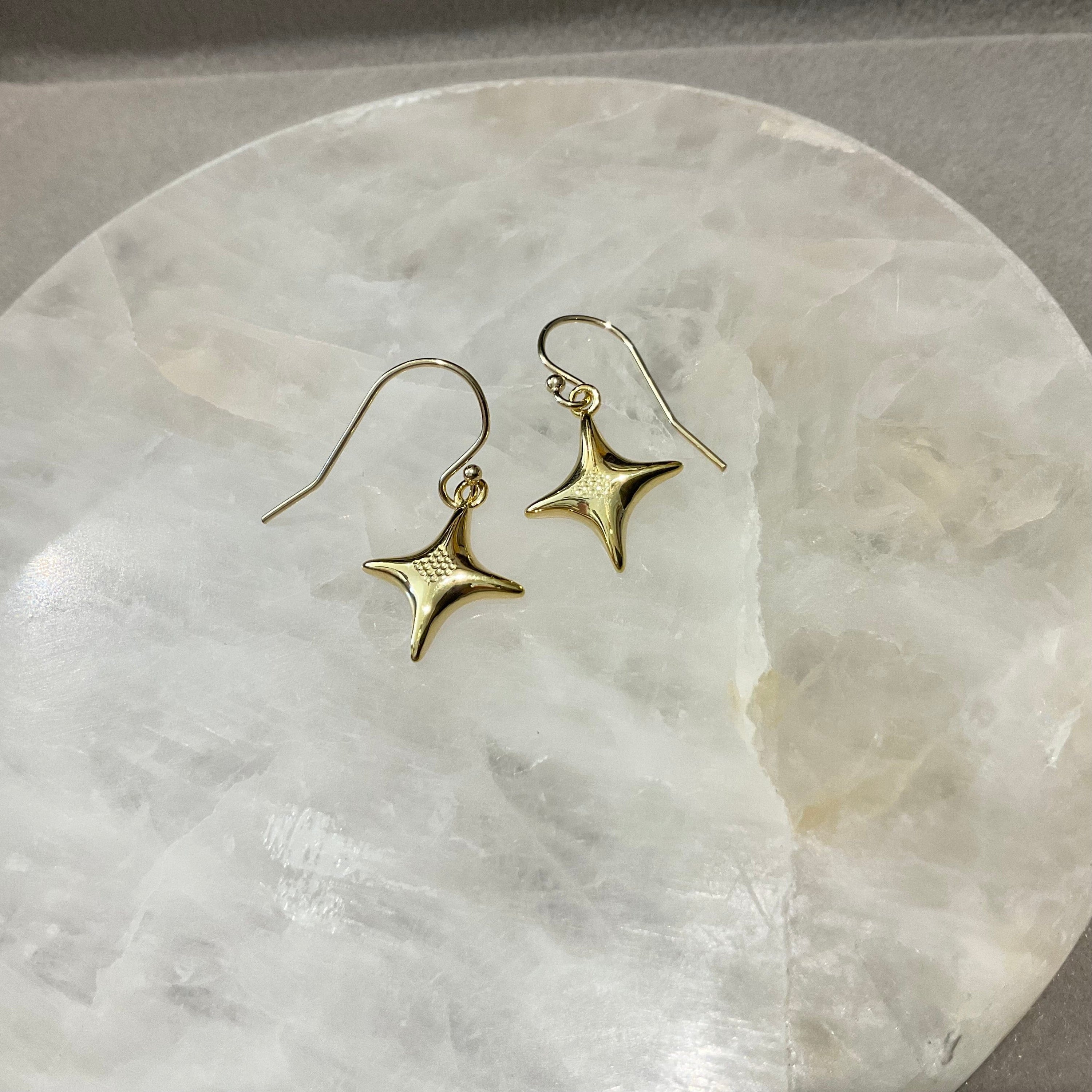 Paird  North Star earrings Gold Paird