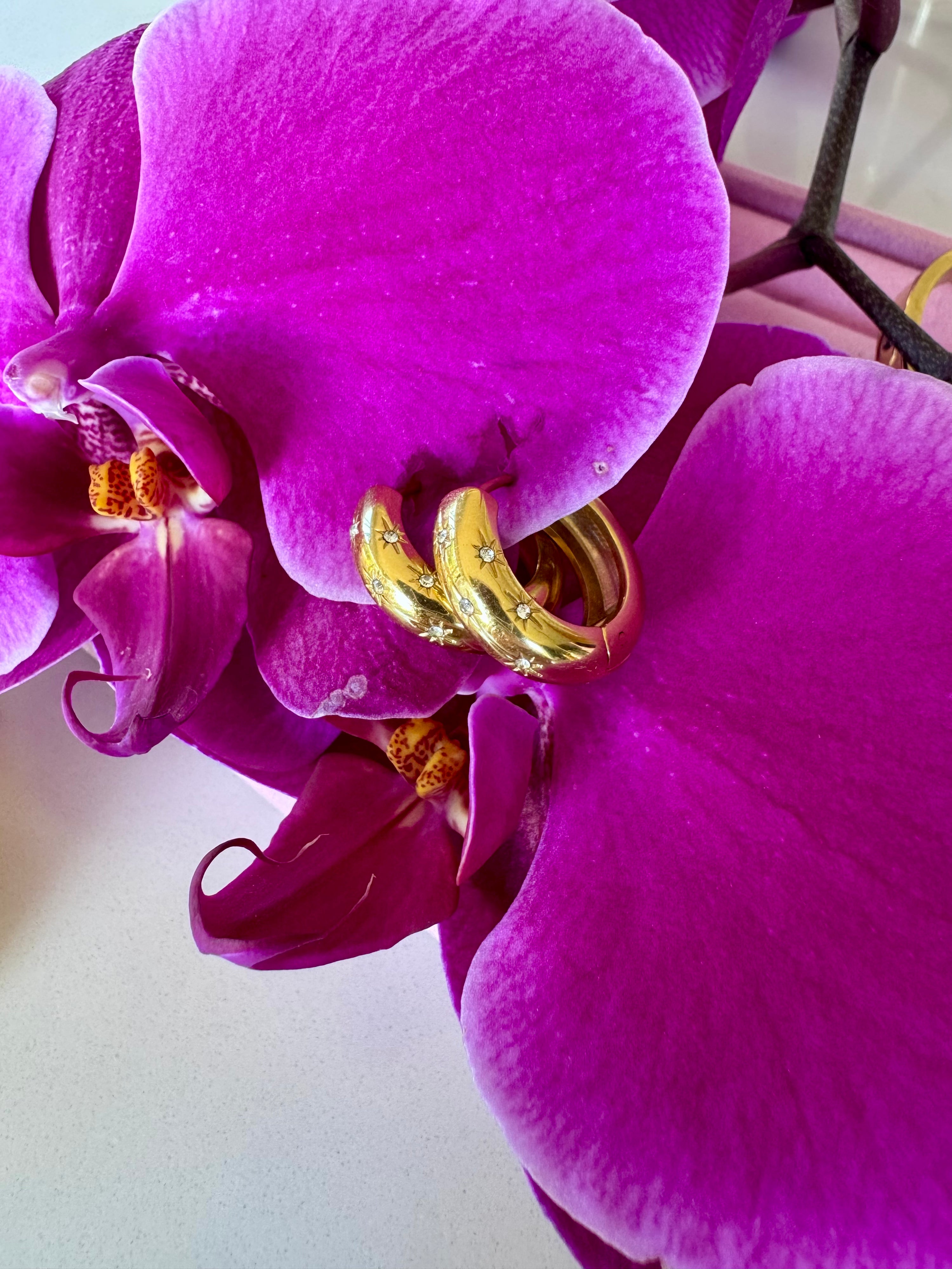 Golden Star Light Earrings Innerbloom