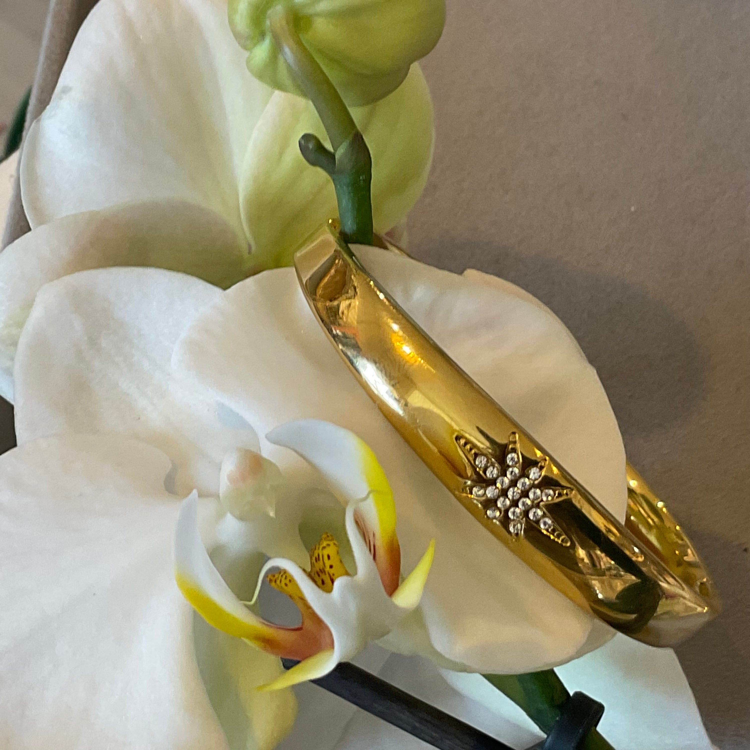 Shining Star Bangle Innerbloom