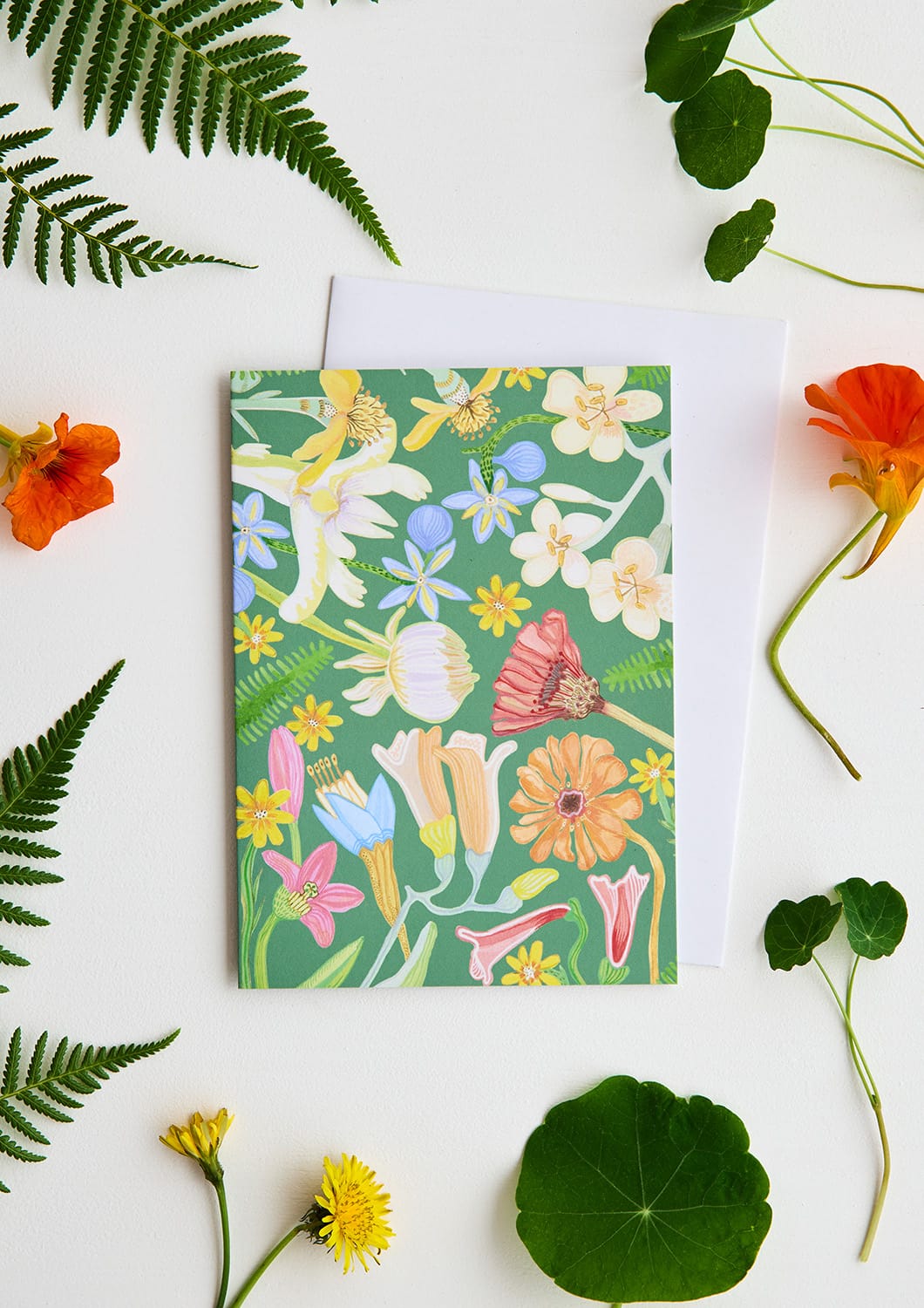 Angus Celeste green  card LittleLintons