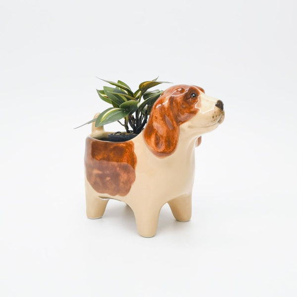 Dog planter LittleLintons