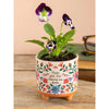 Mini grow pot LittleLintons