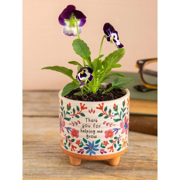 Mini grow pot LittleLintons