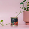 Munash soil food LittleLintons