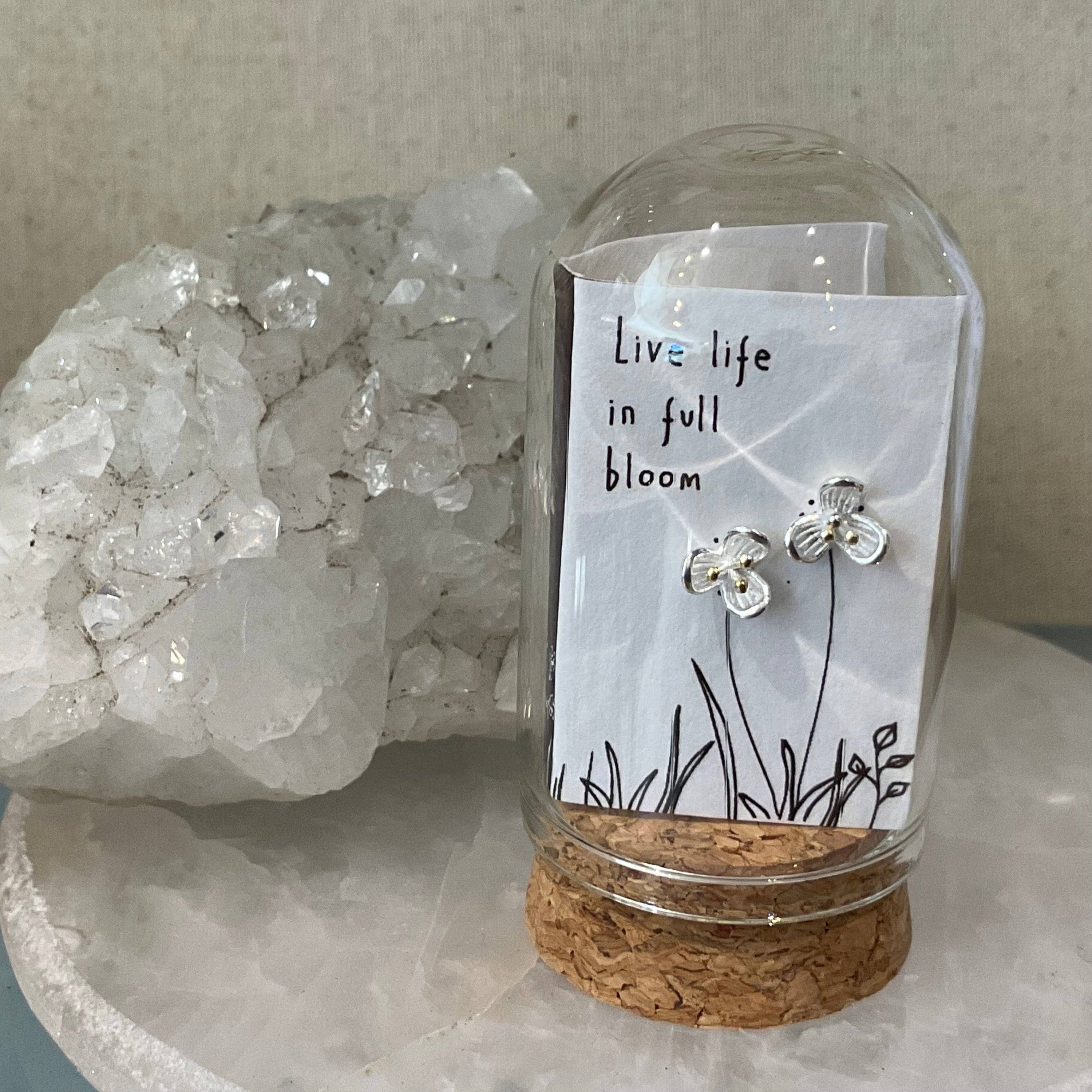 Terrarium studs LittleLintons