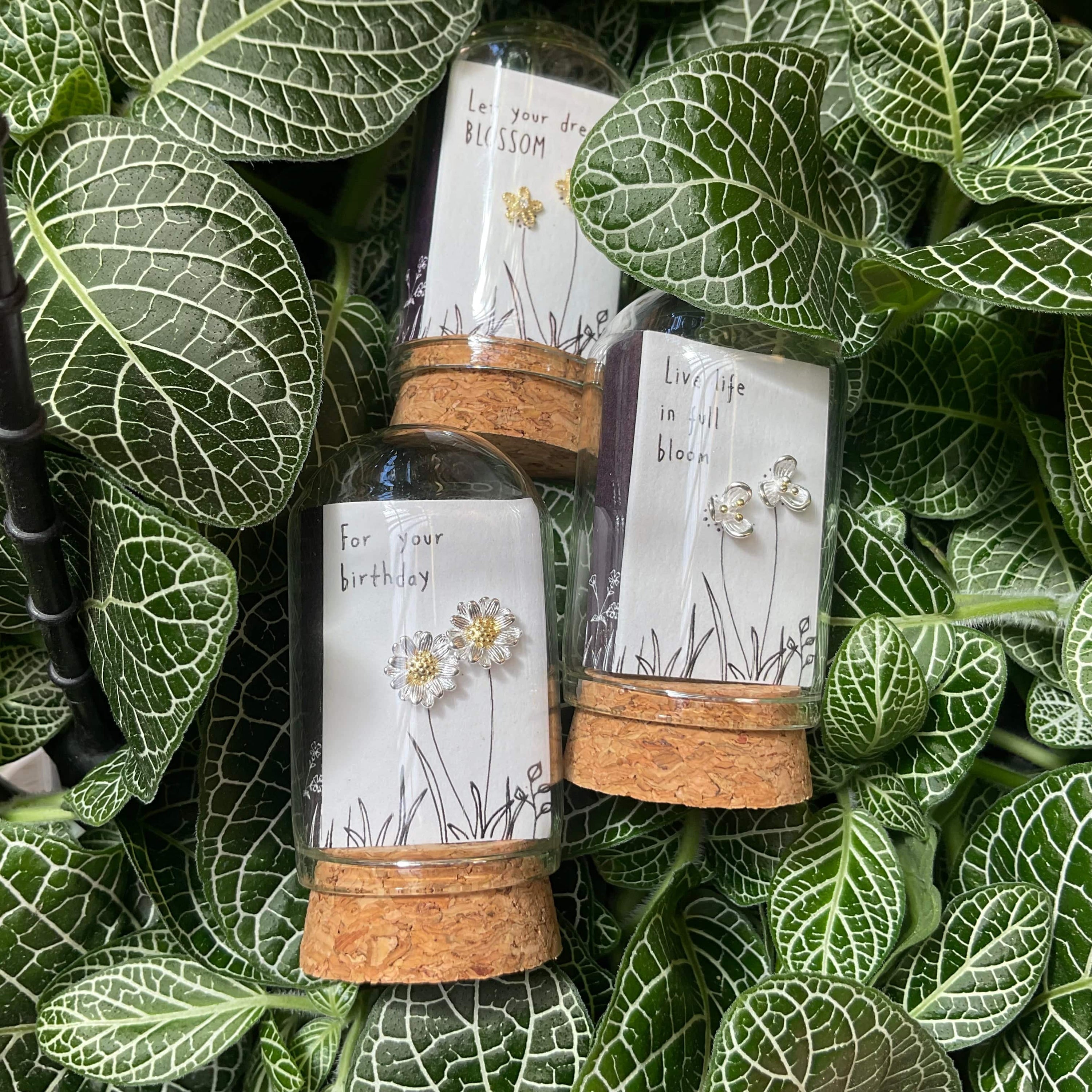 Terrarium studs LittleLintons