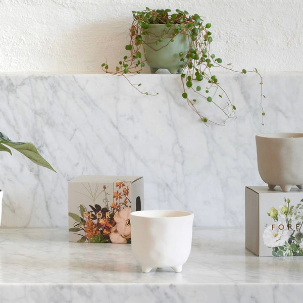 Myrtle & Moss botanical Candle Myrtle & Moss