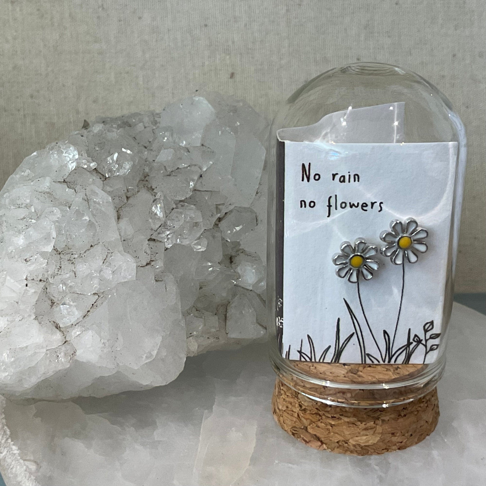 Bottled studs No rain flowers LittleLintons