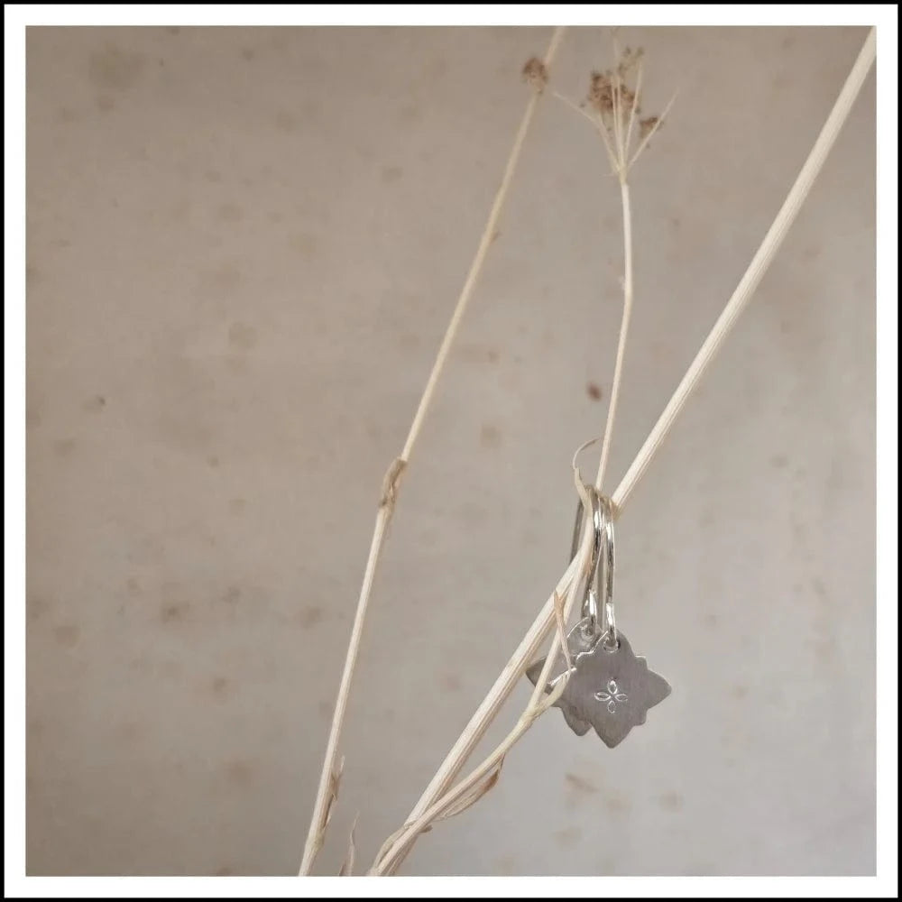 Paird Galaxy earrings Paird