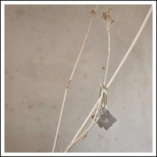 Paird Galaxy earrings Paird