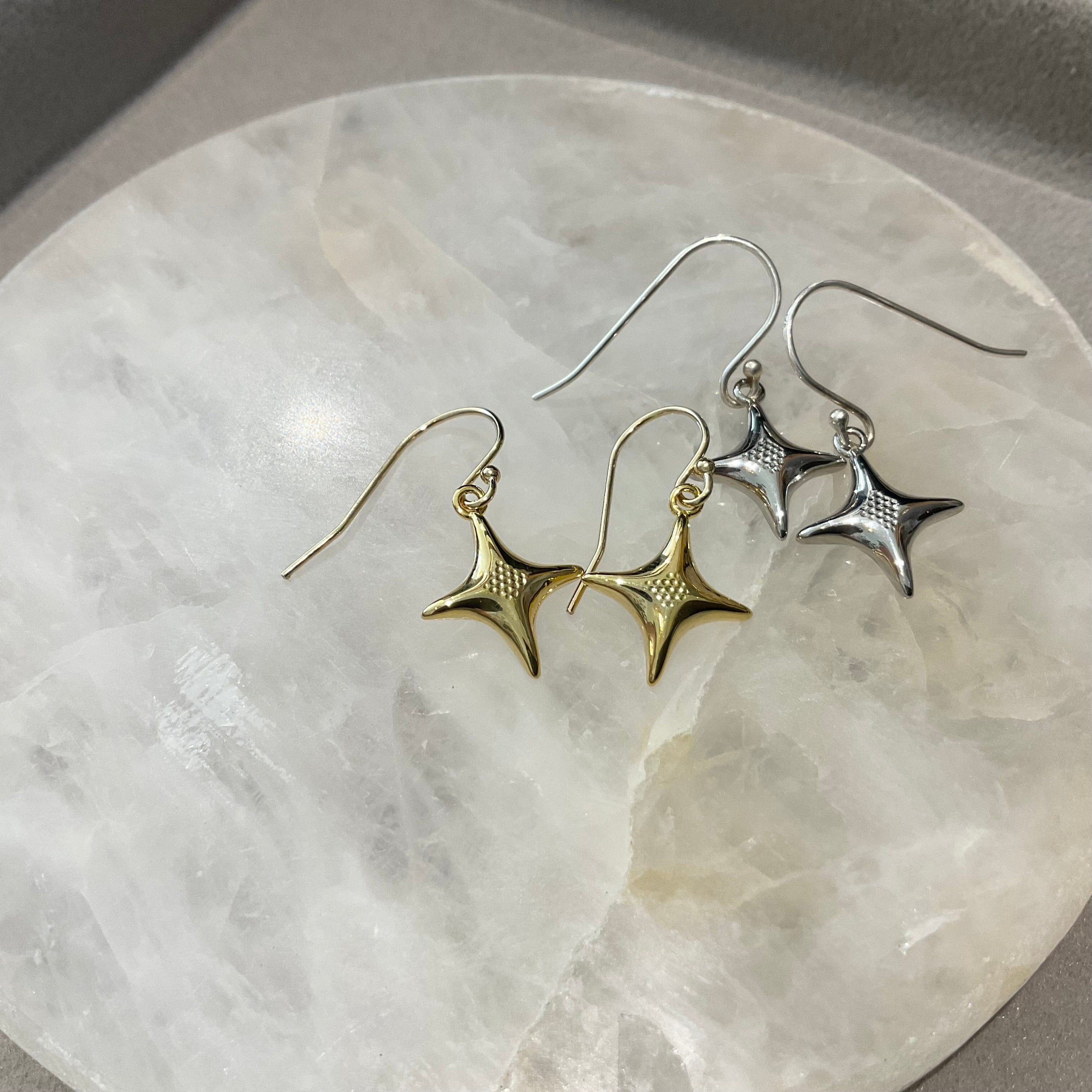 Paird  North Star earrings Paird