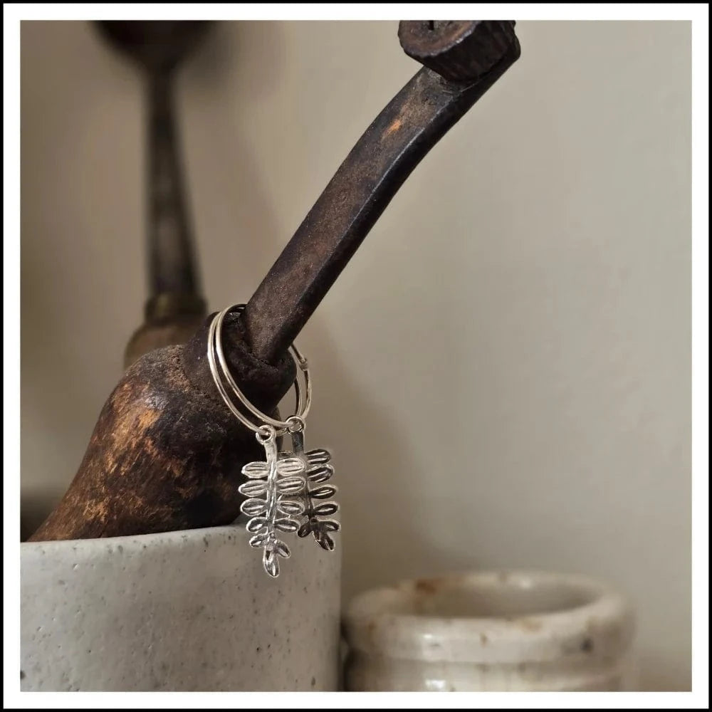 Paird silver fern earrings Paird
