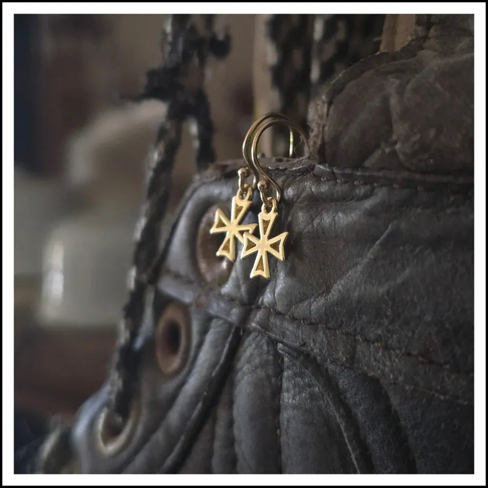 Paird Virtuous earrings Paird