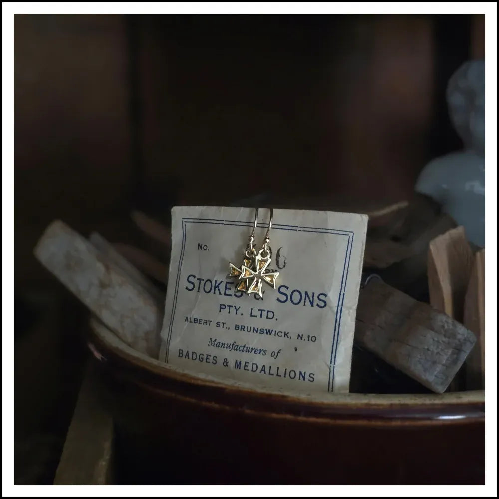 Paird Virtuous earrings Paird