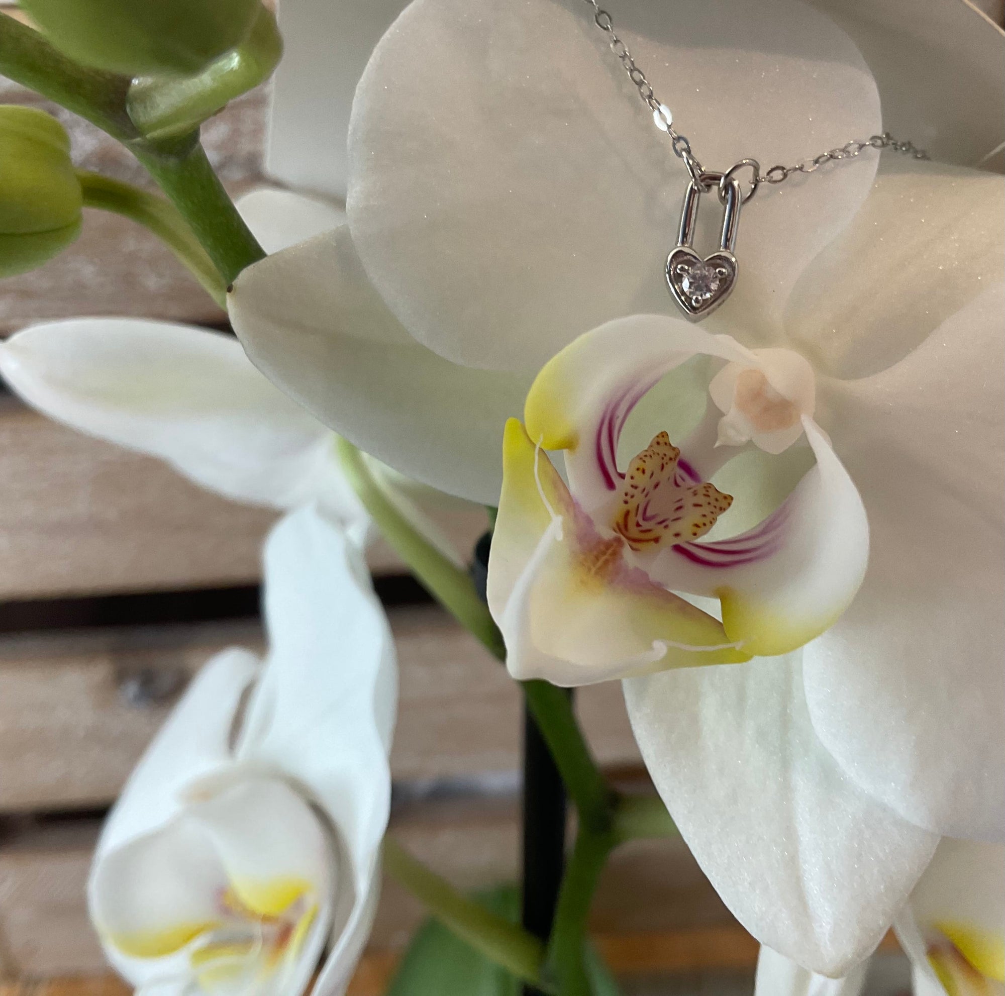 ‘Heart locked in’ necklace Silver Innerbloom