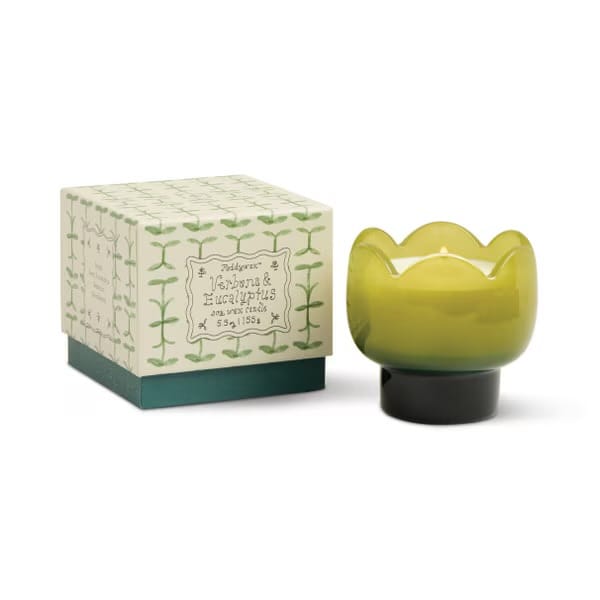 Tulip glass Candles Verbena lemongrass LittleLintons