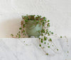 Myrtle & Moss botanical Candle Myrtle & Moss