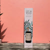 Ivy & Wood Reed Diffuser Oak moss cinnamon-pear moss geranium Rasberry cinnamon leaf Ivy & Wood